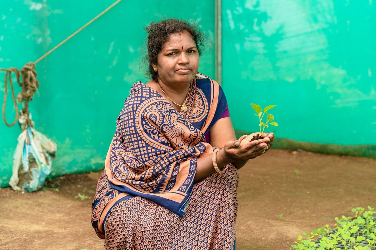 Woman holding sapling in hands