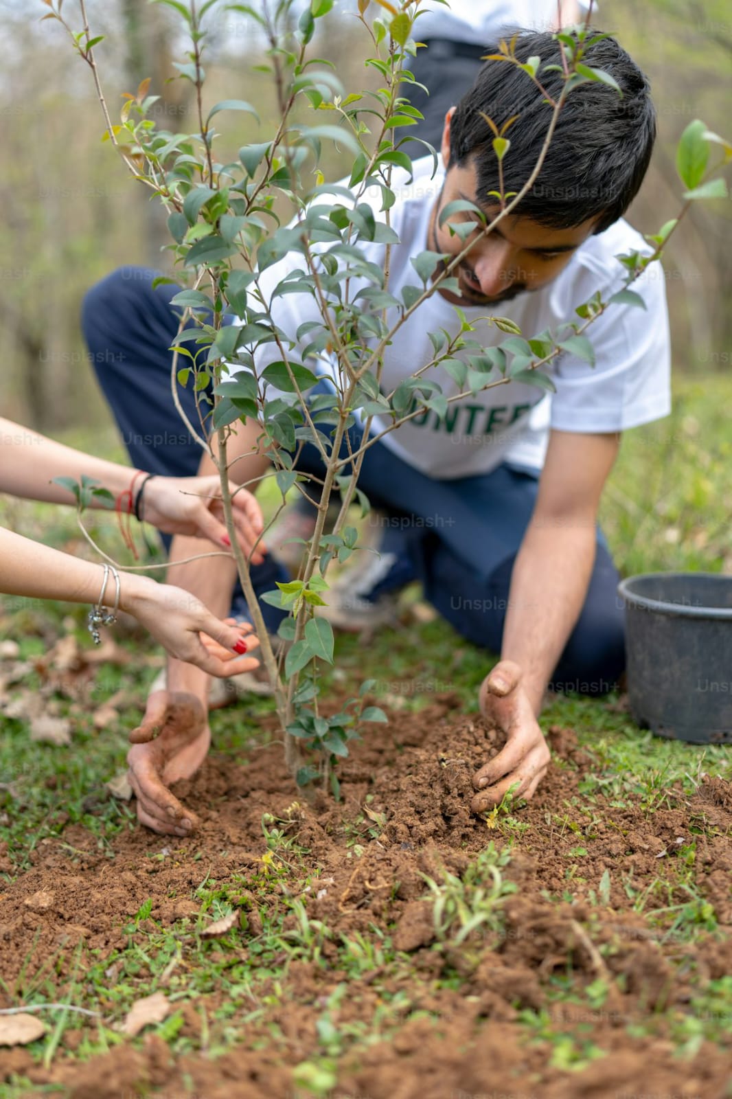 Volunteers planting together